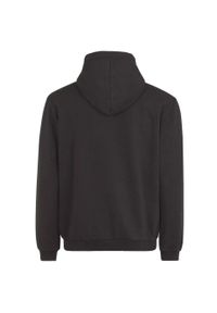 Fila Bischkek Hoody, męska bluza. Typ kołnierza: kaptur. Kolor: czarny. Materiał: bawełna, poliester