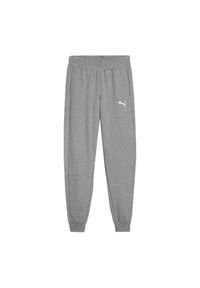 Puma - Spodnie Do Joggingu Dziecięce Team Goal. Kolor: szary. Sport: bieganie