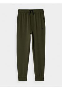 4f - 4F Spodnie dresowe joggery chłopięce 158 (12-13 lat). Okazja: na co dzień. Kolor: brązowy, oliwkowy, wielokolorowy. Materiał: dresówka. Sezon: lato. Styl: casual #1