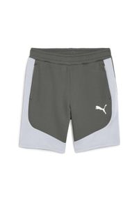 Szorty Sportowe Męskie Puma Evostripe 8'' Dk. Kolor: szary