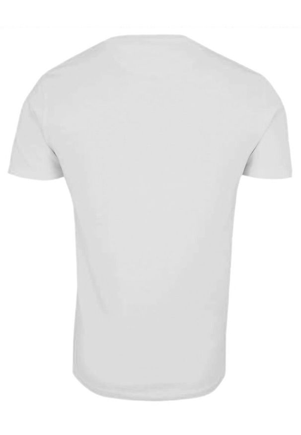 T-Shirt Biały Bawełniany Męski Bez Nadruku -Brave Soul- Koszulka, Krótki Rękaw, Basic. Okazja: na co dzień. Kolor: biały. Materiał: bawełna. Długość rękawa: krótki rękaw. Długość: krótkie. Sezon: lato, wiosna. Styl: casual