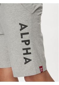 Alpha Industries Szorty sportowe 116366 Szary Regular Fit. Kolor: szary. Materiał: bawełna. Styl: sportowy