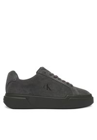 Sneakersy Calvin Klein. Kolor: szary