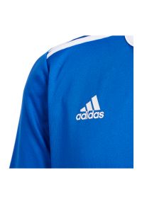 Adidas - Koszulka piłkarska dla dzieci adidas Entrada 18 Jr CF1049. Materiał: materiał, poliester, skóra, dzianina. Technologia: ClimaLite (Adidas). Wzór: paski, ze splotem. Sport: piłka nożna #5