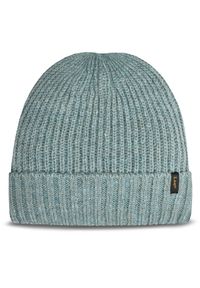 Czapka Lee. Kolor: zielony #1