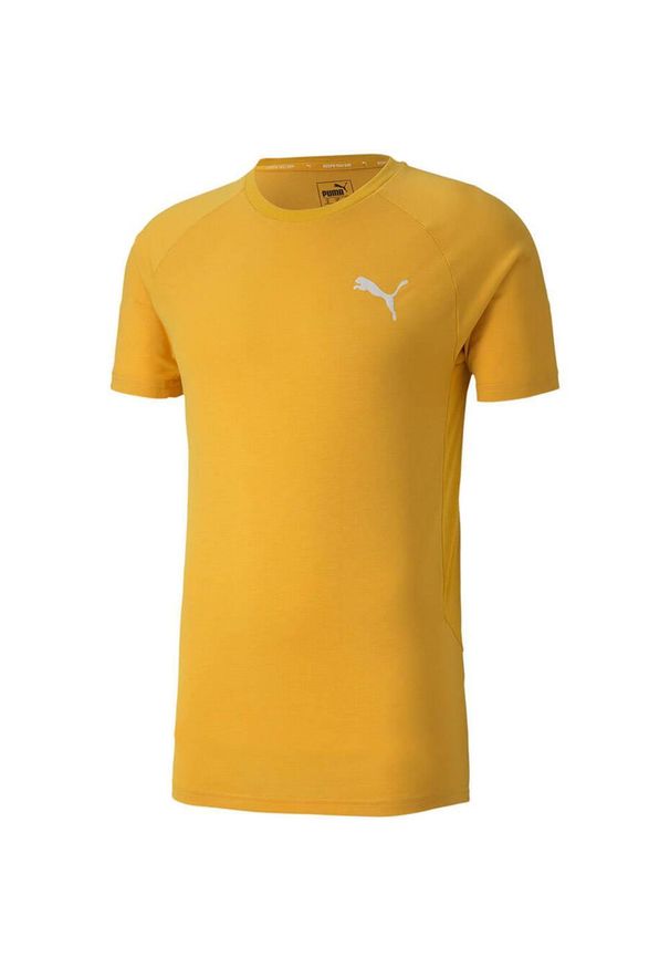 Puma - T-shirt Męski Evostripe Lite. Kolor: żółty