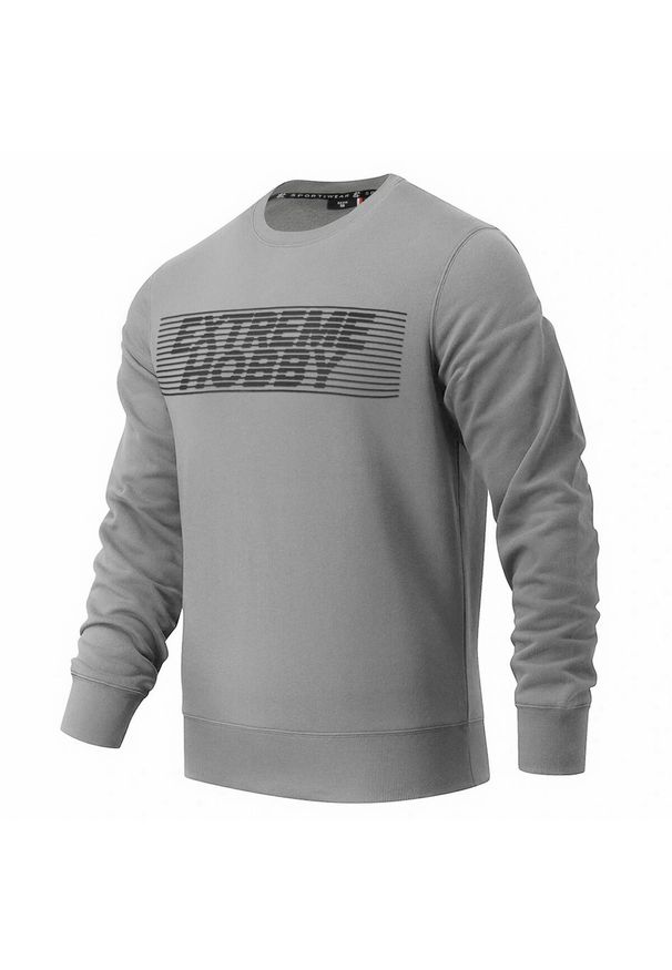 EXTREME HOBBY - Bluza sportowa męska Extreme Hobby Hidden. Kolor: szary. Materiał: bawełna