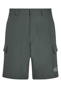 EA7 Emporio Armani Szorty sportowe 7M000196 AF13554 U8109 Zielony Regular Fit. Kolor: zielony. Materiał: syntetyk. Styl: sportowy