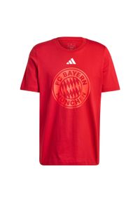 Adidas - Koszulka FC Bayern DNA Graphic. Kolor: czerwony. Sport: piłka nożna