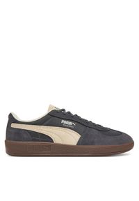 Sneakersy Puma. Kolor: szary