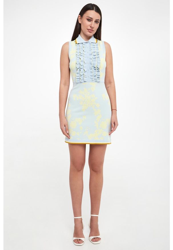 Elisabetta Franchi - Sukienka mini ELISABETTA FRANCHI. Długość: mini