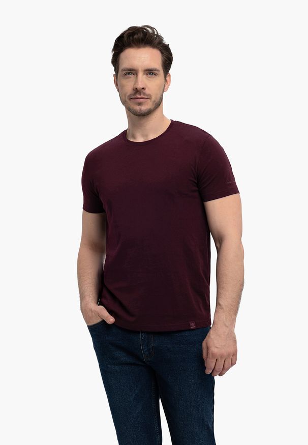 Volcano - Bawełniana koszulka T-BASIC. Kolekcja: plus size. Materiał: bawełna. Długość rękawa: krótki rękaw. Długość: krótkie. Styl: klasyczny