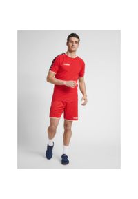 Koszulka Hummel Training hmlAUTHENTIC. Kolor: czerwony, różowy, wielokolorowy. Materiał: jersey, materiał, poliester, bawełna. Sport: piłka nożna #1