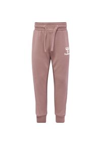 Spodnie dresowe dla dzieci Hummel Apple. Kolor: fioletowy. Materiał: dresówka. Sport: bieganie #1