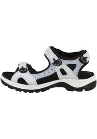 ecco - Buty do chodzenia damskie Ecco 06956360563. Zapięcie: rzepy. Kolor: niebieski. Materiał: guma, tkanina. Sport: turystyka piesza