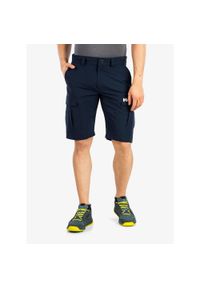 Spodenki męskie Helly Hansen HH QD Cargo Shorts 11. Kolor: niebieski