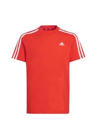 Adidas - Essentials 3-Stripes Cotton Tee. Kolor: biały, czerwony, wielokolorowy