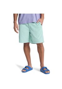 Quiksilver - Szorty z kordu dla Mężczyzn TAXER 18" Niebieski. Kolor: niebieski. Materiał: bawełna, tkanina. Długość: krótkie. Sezon: lato #1