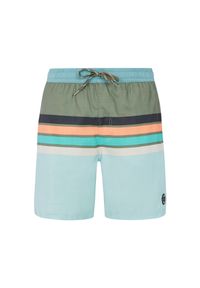Szorty kąpielowe Protest Avik. Kolor: zielony #1