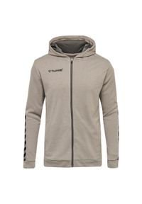 Bluza z kapturem dla dzieci Hummel zip hmlAUTHENTIC Poly. Typ kołnierza: kaptur. Kolor: szary. Sport: piłka ręczna #1
