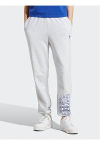 Adidas - adidas Spodnie dresowe Joggers IC6036 Szary Slim Fit. Kolor: szary. Materiał: bawełna