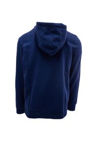 Bluza z kapturem Diadora Big Logo, Mężczyźni. Typ kołnierza: kaptur. Kolor: niebieski. Materiał: bawełna, materiał