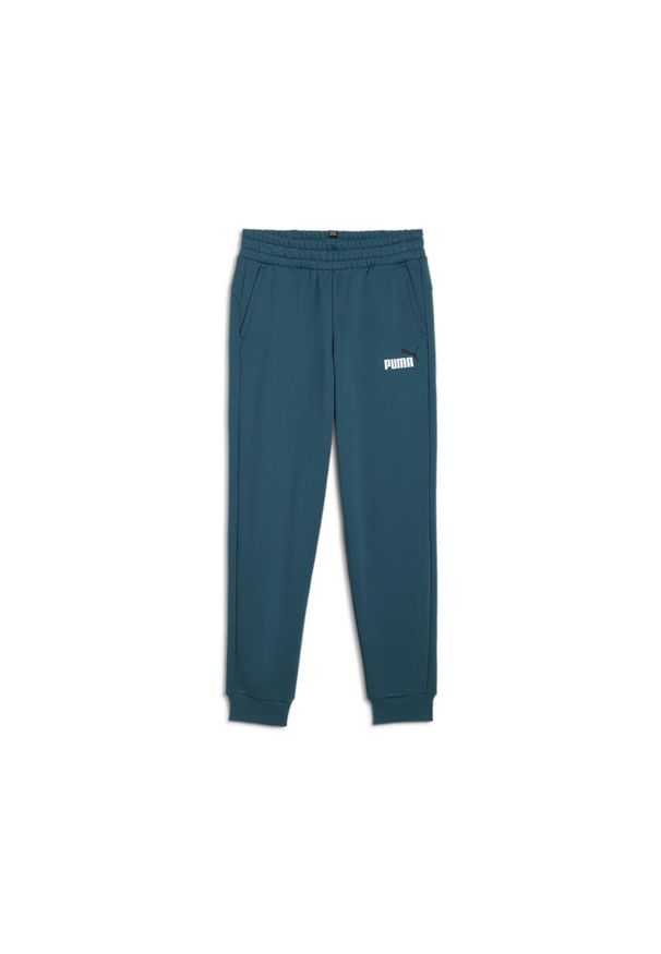 Puma Spodnie Ess+ 2 Col Logo Fl 58698808. Kolor: zielony