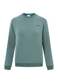 Damska bluza z okrągłym dekoltem Viking Escape Bamboo. Kolor: zielony. Styl: sportowy. Sport: turystyka piesza #1