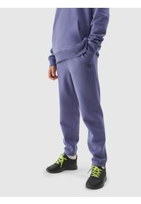 4F JUNIOR - Spodnie dresowe joggery chłopięce. Okazja: na co dzień. Kolor: niebieski. Materiał: dresówka. Wzór: gładki. Styl: casual, klasyczny