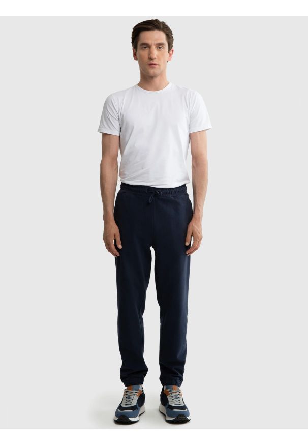 Big-Star - Spodnie męskie dresowe granatowe Brutus 403. Kolor: niebieski. Materiał: dresówka. Wzór: nadruk, aplikacja. Sport: fitness