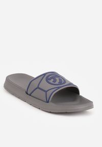 Born2be - Szare Klapki Basenowe z Piankowego Materiału Throneosis. Okazja: do domu, na co dzień. Kolor: szary. Materiał: materiał. Sezon: lato. Styl: sportowy, wakacyjny, casual #2