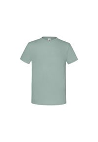 FRUIT OF THE LOOM - Kultowa Koszulka Unisex Dla Dorosłych. Kolor: szary