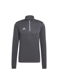 Bluza piłkarska męska Adidas Entrada 22 Training Top. Kolor: szary. Sport: piłka nożna