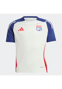 Adidas - Koszulka piłkarska dla dzieci ADIDAS Olympique Lyonnais 24/25. Wzór: aplikacja. Sport: piłka nożna