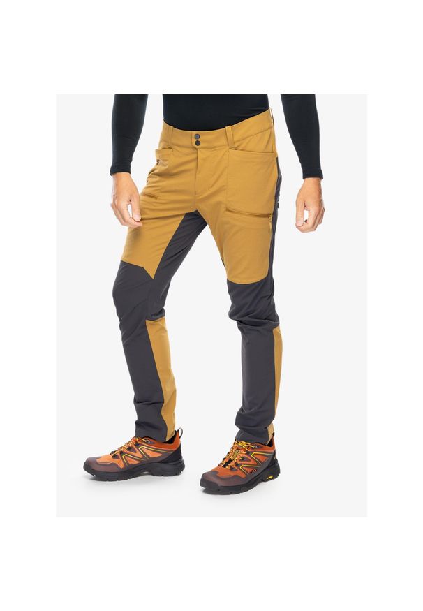 Spodnie trekkingowe męskie Helly Hansen Hovda Tur Pant. Kolor: brązowy