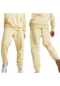 Spodnie sportowe męskie dresowe Puma Classic. Kolor: beżowy. Materiał: dresówka. Styl: sportowy