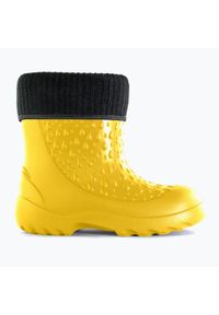 DRYWALKER - Kalosze dziecięce Dry Walker Jumpers Snow Mode. Kolor: żółty