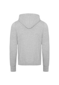 AWDIS - Bluza Unisex Dla Dorosłych Just Hoods Chunky Hoodie. Kolor: szary