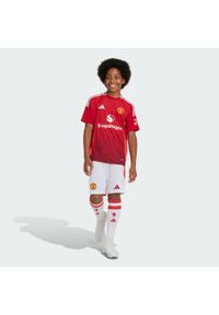 Adidas - Szorty Manchester United 24/25 Home Kids. Kolor: biały. Materiał: materiał. Sport: piłka nożna #1
