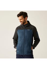 Regatta - Kurtka męska hybrydowa Newhill. Kolor: niebieski, zielony, wielokolorowy. Materiał: puch. Sport: turystyka piesza #1