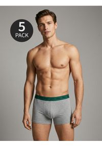 Sinsay - Bokserki Long 5 pack - wielobarwny #1