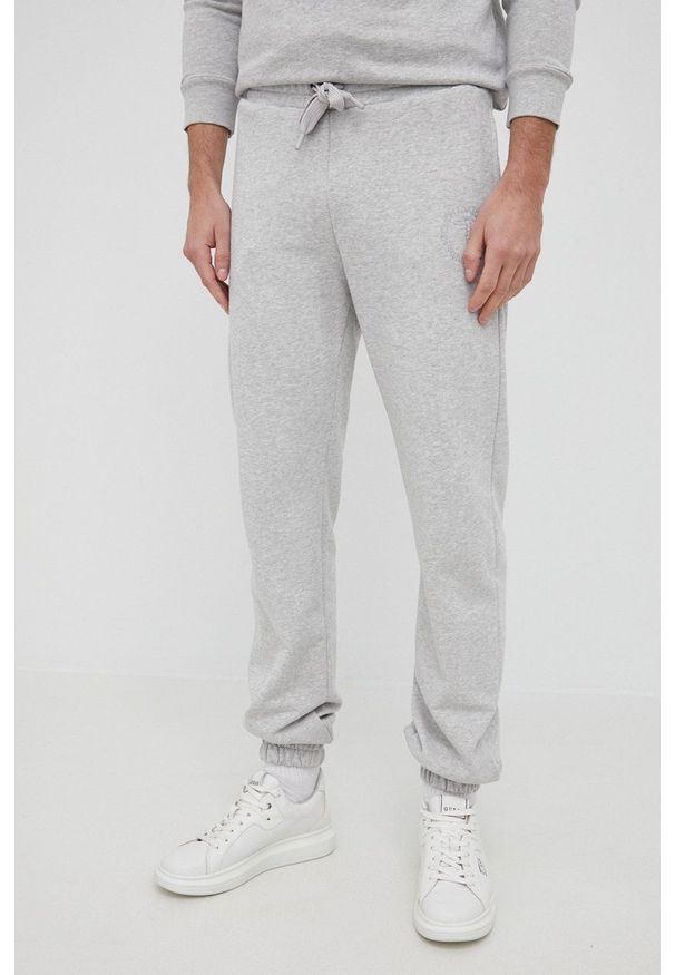 Trussardi Jeans - Trussardi spodnie bawełniane męskie kolor szary gładkie. Kolor: szary. Materiał: bawełna. Wzór: gładki