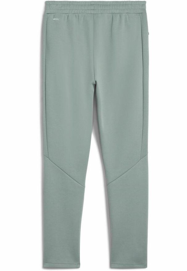 Puma - Męskie spodnie EVOSTRIPE PUMA Green Moon. Kolor: zielony