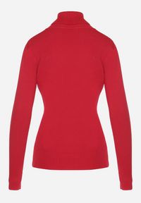 Born2be - Czerwony Sweter z Golfem z Domieszką Kaszmiru i Wiskozy Zaisma. Okazja: na co dzień. Typ kołnierza: golf. Kolor: czerwony. Materiał: wiskoza, kaszmir. Długość rękawa: długi rękaw. Długość: długie. Styl: casual, elegancki #6