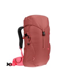 Plecak turystyczny trkkingowy dla dzieci Deuter Climber 22. Kolor: czerwony