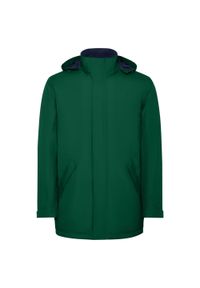 ROLY - Męska Ocieplana Parka America. Kolor: zielony. Materiał: puch. Sport: turystyka piesza