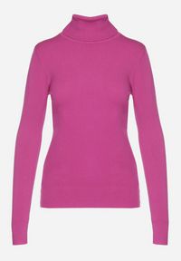 Born2be - Ciemnoróżowy Golf Sweter z Wiskozą i Kaszmirem Zailaya. Okazja: na co dzień. Typ kołnierza: golf. Kolor: fioletowy. Materiał: kaszmir, wiskoza. Styl: casual #4