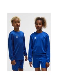 Bluza dziecięca Hummel Essential. Kolor: niebieski. Sport: joga i pilates #1