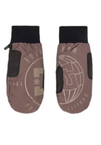 DC Shoes Rękawice narciarskie Tribute ADYHN03035 Fioletowy. Kolor: fioletowy. Materiał: poliester. Sport: narciarstwo #1