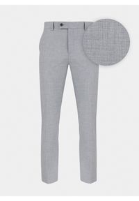 Pako Lorente - PAKO LORENTE – Szare spodnie garniturowe P22SF-6G-006-S-S. Kolor: szary. Materiał: poliester, elastan, wiskoza. Wzór: gładki. Styl: elegancki #1